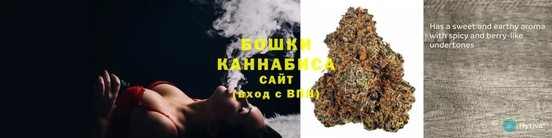 Бошки марихуана THC 21%  купить наркотики сайты  Лукоянов 